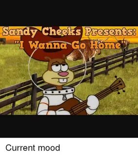 Sandy Cheeks Presentse I Wanna Go H 0 Current Mood Meme on a