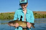 Fishing Snake River Twin Falls Idaho - All About Fishing