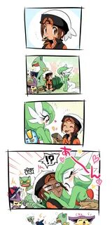 gardevoir, sceptile, delcatty, sharpedo, brendan, banoakira.