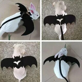 Kukiu Halloween Black Bat Wings Cat Dogs Angel Wing Prop Pet