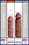 Average Teenage Penis Size Tbphoto.eu