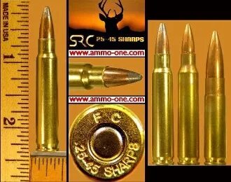 25-45 Sharps ammo ammunition for sale