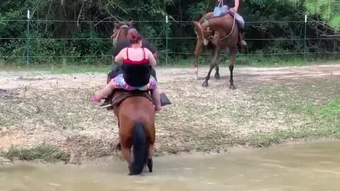 Caballo haciendo el amor con mujer