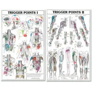 Gallery of trigger points trigger points crystal healing cha