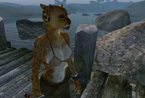 Cute Khajiit Female At Oblivion Nexus Mods And Community - M