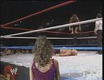 Macho Man Elbow Drop Gif posted by Sarah Walker