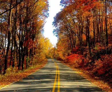 Autumn Road Wallpapers - 4k, HD Autumn Road Backgrounds on W
