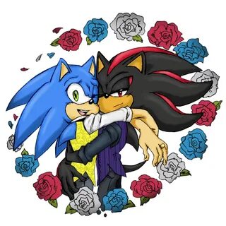 Image result for sonic x shadow fanfiction Sonic, Sonic hero