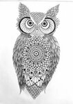 51 Owl Animal Mandala Art Designs SVG PNG EPS DXF - Free SVG