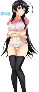 Shomin Sample - Jinryou Karen Render 1