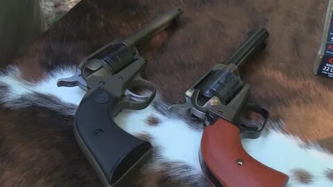 Ruger Wrangler VS Heritage Rough Rider - Gun And Survival