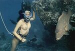 Scuba Babes - Underwater Fan MOTHERLESS.COM ™
