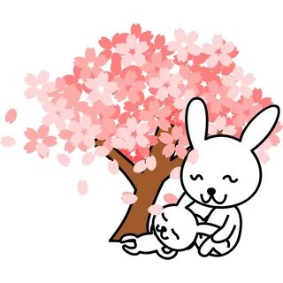 cherry blossom cartoon - Clip Art Library