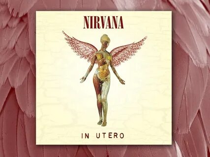 Nirvana In Utero by Robert Fisher on Dribbble