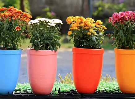 Best Flower Pot Ideas With Latest Front Door Flower Pots Dec