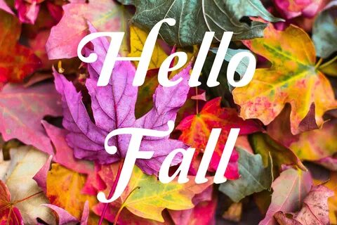 Goodbye Summer - Hello Fall! - Community Education