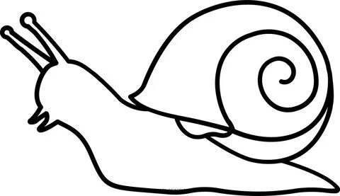 Snail Coloring Sea Transparent Slug Pages Printable Getcolor