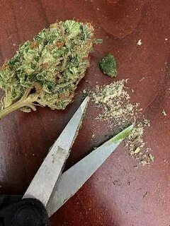 13 Weed Hacks You Need To Know 🌿 - Steemkr