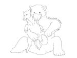 The Big ImageBoard (TBIB) - 2016 anthro bear big penis bulge
