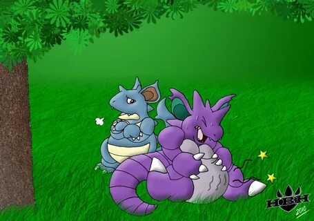 nidoqueen and nidoking Pokemon, Character, Fictional charact