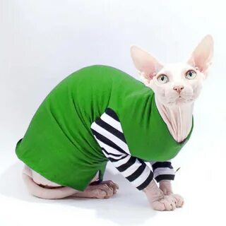 Cat Clothes for Cats. Soft Cat Sweater with sleeves. Cat Ets