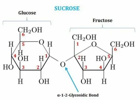 Chemical Structure of Sucrose Teaching chemistry, Biochemist