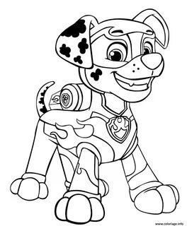 Pin on Paw Patrol