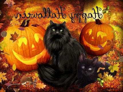Fall Halloween Wallpapers - 4k, HD Fall Halloween Background
