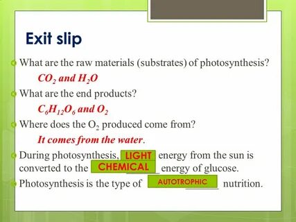 Exit slip What are the raw materials (substrates) of photosynthesis.