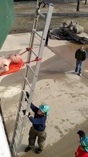 Method of lowering victims using the ladder and rope - GIF o