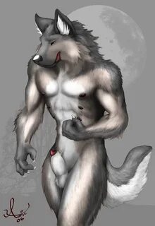 Furry wolfs collection - 33/104 - Hentai Image