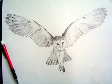 Barn Owl Tight Render by Tophoid on deviantART Barn owl tatt