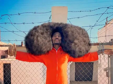 Benny Harlem And His Record-Breaking Hair " Design You Trust