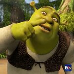 Pin by Hello Happy Surprise on Shrek Shrek, Shrek dreamworks