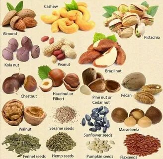 Types of nuts. English vocabulary, Learn english vocabulary,