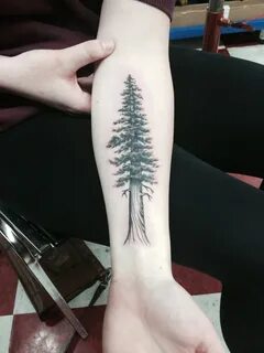 Pin by Sara Harvey on tattooism & piercings Tree tattoo fore