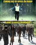 If You’re Suffering From Monday Blues, Take These Memes With