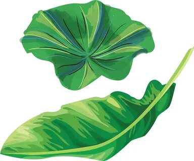 Banana Leaf Illustration Clipart - Full Size Clipart (#21961