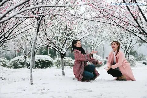 Schnee bedeckt Pflaumenblüten in Jiangsu - Xinhua german.xin