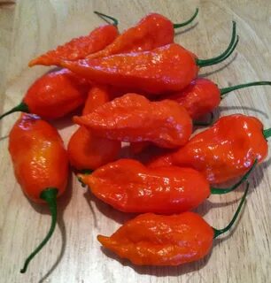 12 Super Hot Whole Dried Ghost Pepper Pods