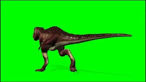T Rex Dinosaurier dies - seperated on green screen
