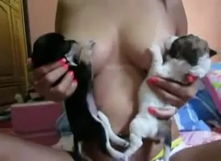 two puppies sucking tits Hot Animal Sex Film - Webcam, Zoo P