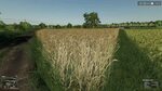 FS19 REAL CROP DENSITY v1.0.0.0 - Farming Simulator 17 mod /
