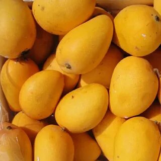 Buy Exotic Rare Fruits of India Online Sitara Foods