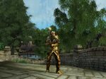 Gallery Of Better Amber Armor At Oblivion Nexus Mods And Com