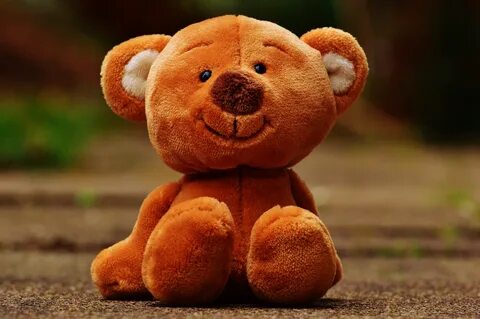 Free Images : sweet, cute, brown bear, teddy bear, textile, 