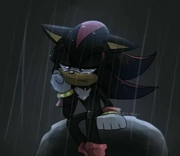 Aww poor shadow this was me when I found it he died poor guy