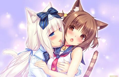 Обои Аниме Nekopara, обои для рабочего стола, фотографии ани