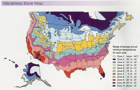 What Gardening Zone Am I In - Find your USDA Hardiness Zone 