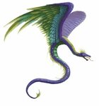 Couatl for Paizo Fantasy monster, Types of dragons, Dragon a